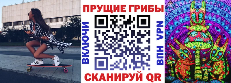 Купить где  Россошь  Псилоцибиновые грибы Psilocybe 